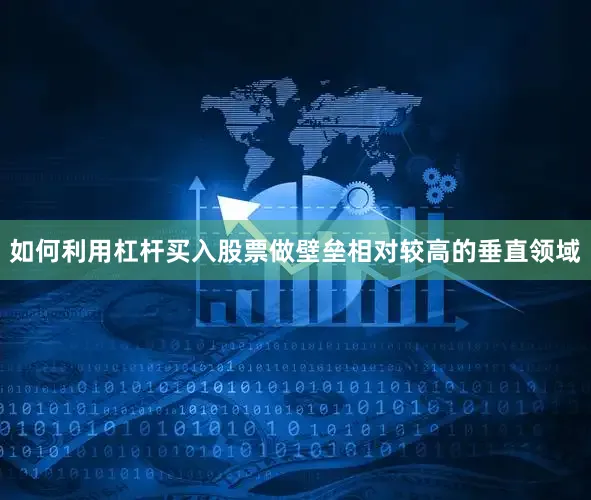 如何利用杠杆买入股票做壁垒相对较高的垂直领域