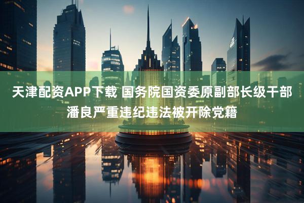 天津配资APP下载 国务院国资委原副部长级干部潘良严重违纪违法被开除党籍